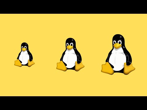 Video: Confronto tra le 10 distribuzioni Linux più popolari