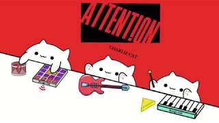 Bongo Cat - Attention - Charlie Cat chords