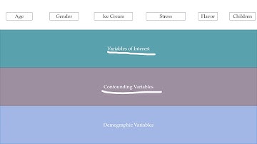 Research Methods Video 7 Collect Data Levels of Interest
