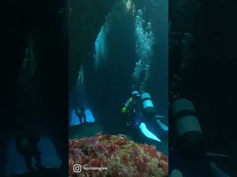 久米島のトンネルに入ってから抜けるまでの様子【編集済み無音】