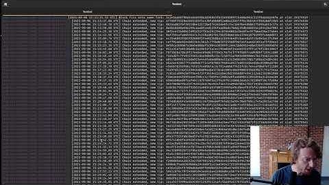 Cardano Starter Kit 007: Building Transactions on cardano-cli