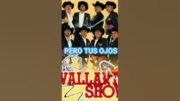 Thumbnail of KARAOKE PROVÓCAME BANDA VALLARTA SHOW