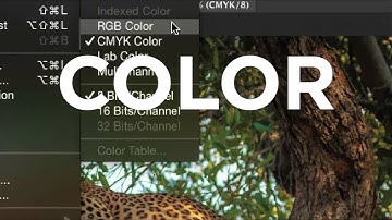 Beginner Photoshop Troubleshooting with Ben Willmore