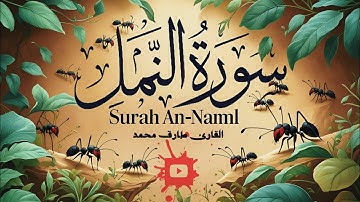 سورة النمل كاملة - للقارئ طارق محمد | Surah An-Naml - [ جودة عالية - high quality ]