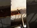 Rust Removal Like Never Before #AutomotiveTips #MechanicLife #AutoEducation #DIYMechanic #shorts