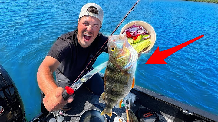 48h CHALLENGE- Only EAT what we CATCH 🔥
