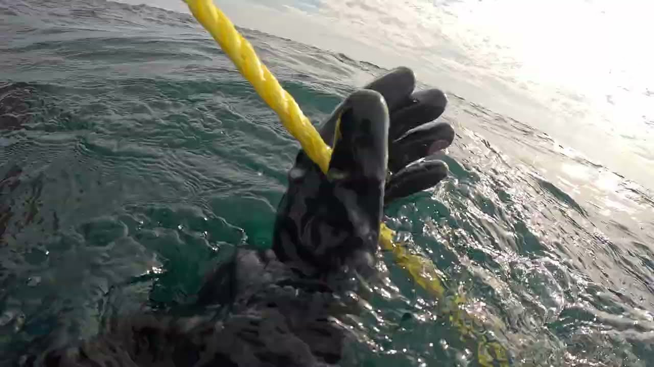 Dive Log - Milwaukee Car Ferry & The Willie