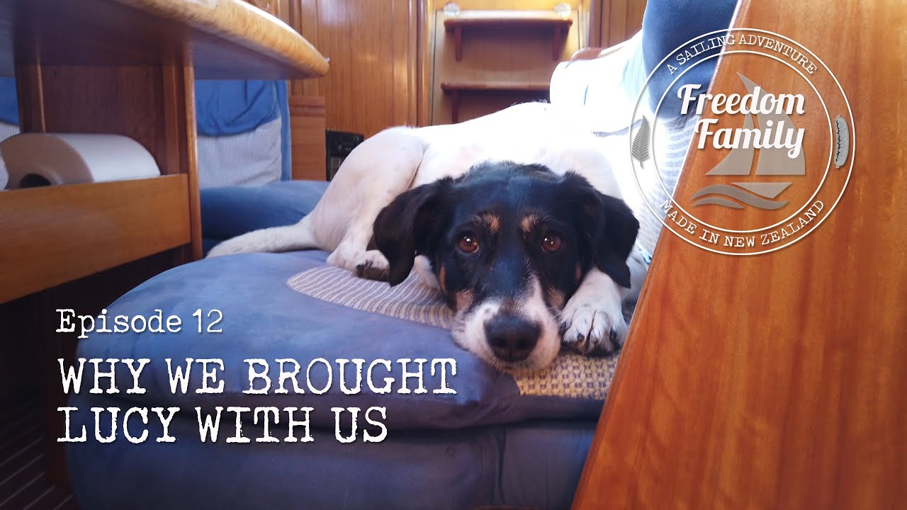 ⁣13. Why We Brought Lucy With Us? I Freedom Family Sailing