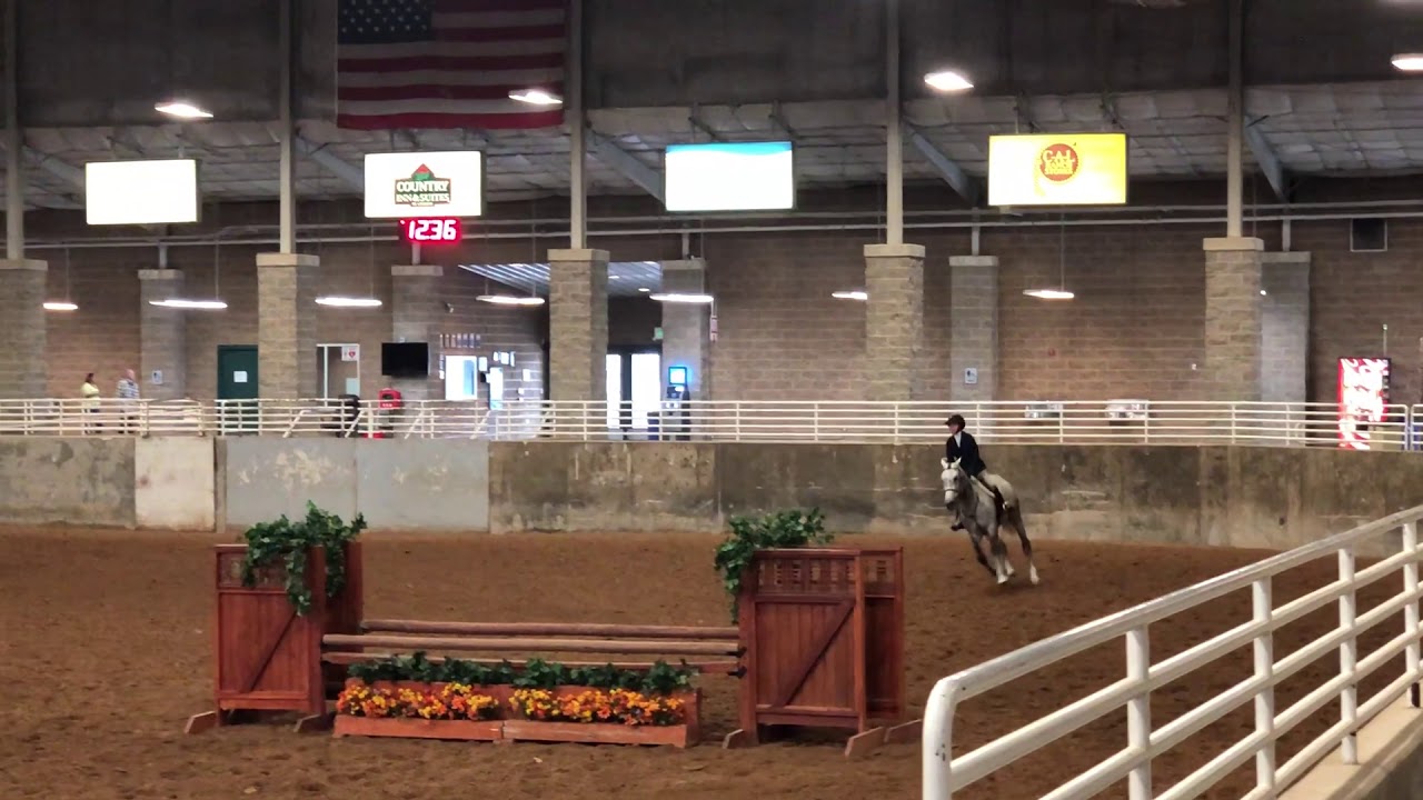 C.QUEL Children's Hunter with Catch Rider - YouTube
