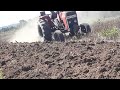 Massey Ferguson 290 with disc plough Laikipia county