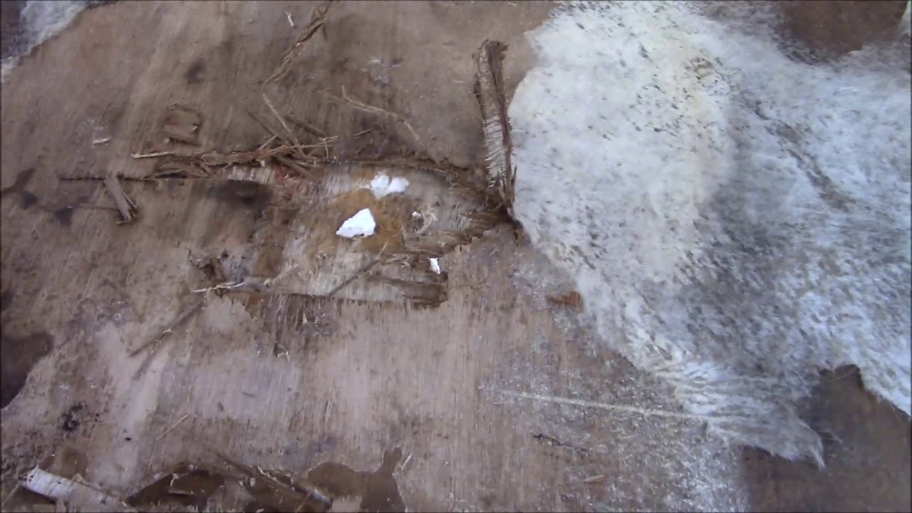 Rebuilt Front Bunk and Replaced Roof on 2013 Leprechaun YouTube