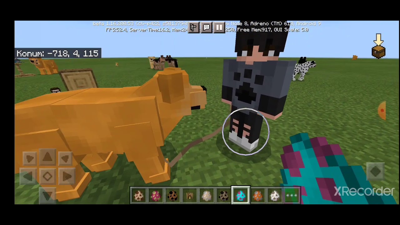 Minecraft Kopek Kulubesi Modu Mp3 Indir