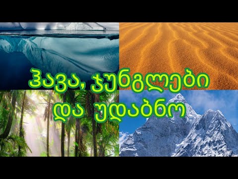 ჰავა,ჯუნგლები და უდაბნო