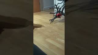 VID 20221108 033109