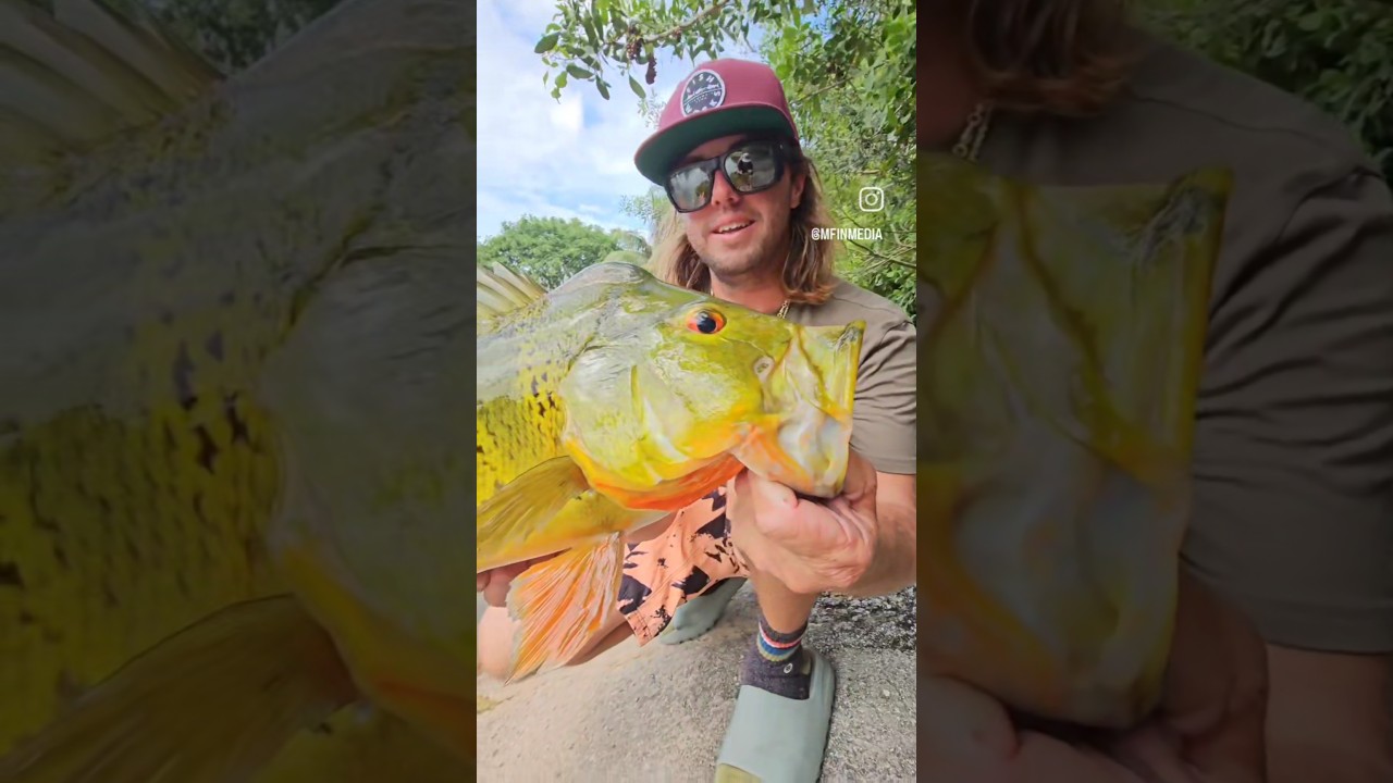 Loving the new OCD Tackle Storage System by ‎@BKKHooksInternational   🔥