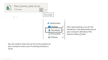 Downloading and Importing Data into RStudio