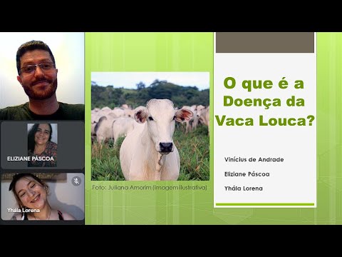 Vídeo: Como evitar a doença da vaca louca: 10 etapas (com fotos)