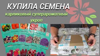 Купила новые семена на 2024 год.Карликовый суперароматный укроп.Новинка.