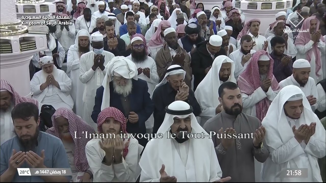 الشفع و الوتر مع دعاء القنوت للشيخ خالد المهنا ليلة 19 رمضان 1447هـ