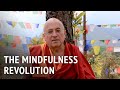The Mindfulness Revolution | Matthieu Ricard