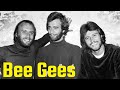 Bee Gees You Stepped Into My Life 1976 HQ mp3