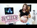 IT'S OFFICIALLY BABY WATCH TIME! - 39 Week Ultrasound!