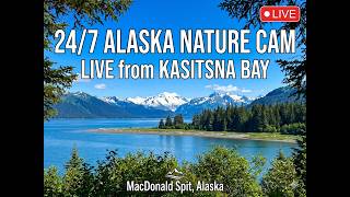🔴 LIVE: Alaska Wilderness Cam | Kasitsna Bay &amp; MacDonald Spit (24/7)