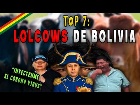 TOP 7 BOLIVIAN LOLCOWS 