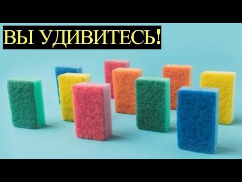 Почему губки бывают Разных Цветов и чем они Отличаются друг от друга