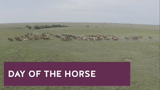 Day of the Horse