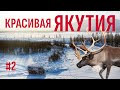 ЯКУТИЯ - САМЫЕ КРАСИВЫЕ НЕ ДОСТУПНЫЕ МЕСТА. НА БУРЛАКАХ ДОГНАЛИ ЯКУТСКОГО ДИКОГО ЛОСЯ. ЯКУТИЯ #2