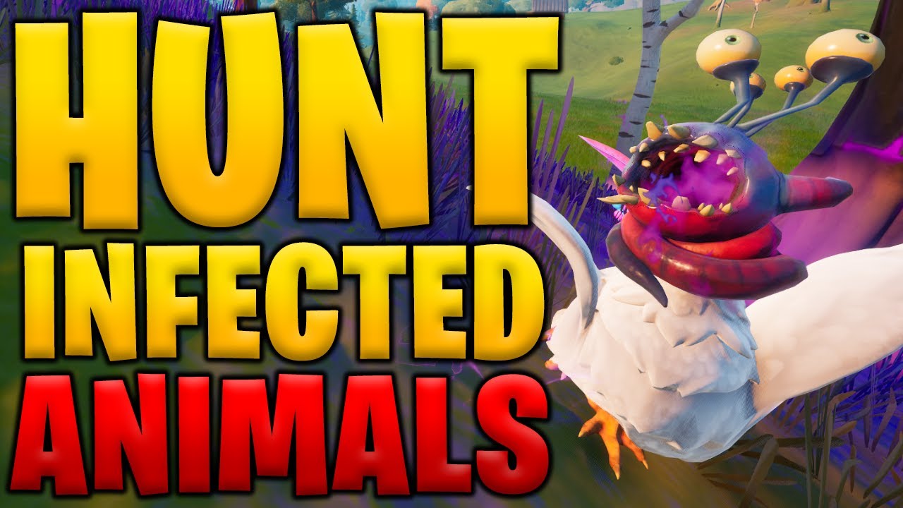 How to hunt an infected animal in Fortnite Chpater 2 Season 7 YouTube