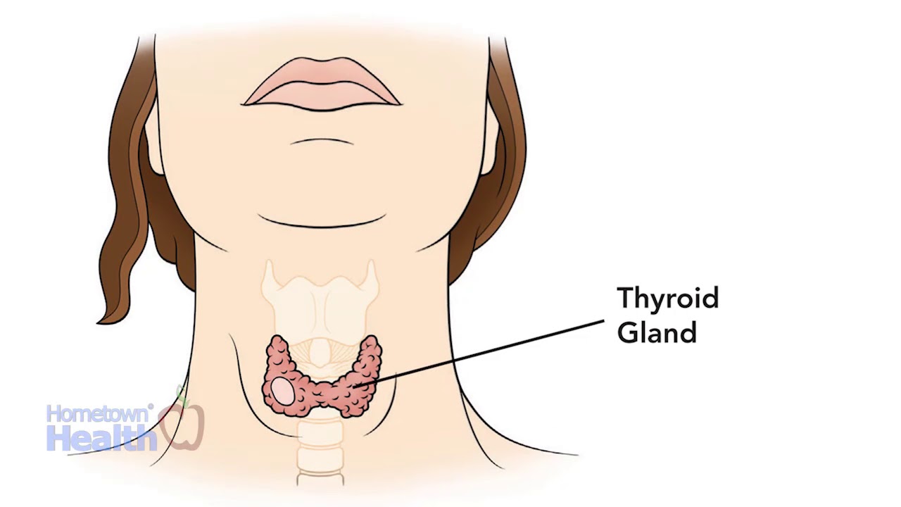 Donde se encuentra la glandula tiroides