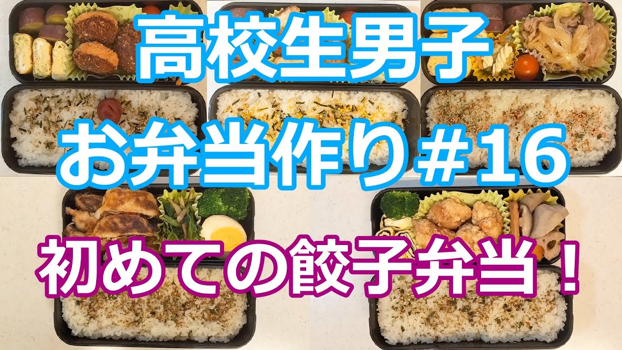 お弁当シリーズ#16  「初めての餃子弁当！」