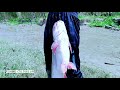 Amazing Fishing Video | Best Underground Catfish Come Out With Big Chicken In River Side Hole.