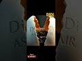 CRACK THE EGG, SEE THE WORLD! GO TO HOLLYWOOD SIGN USA | DIDI ASMR #losangeles #hollywood