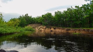 Река Птичь от Глуска , до устья в Багримовичах .