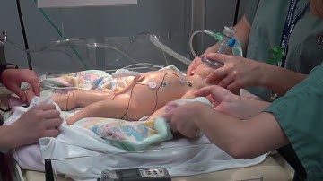 High Fidelity Mannequins Simulation