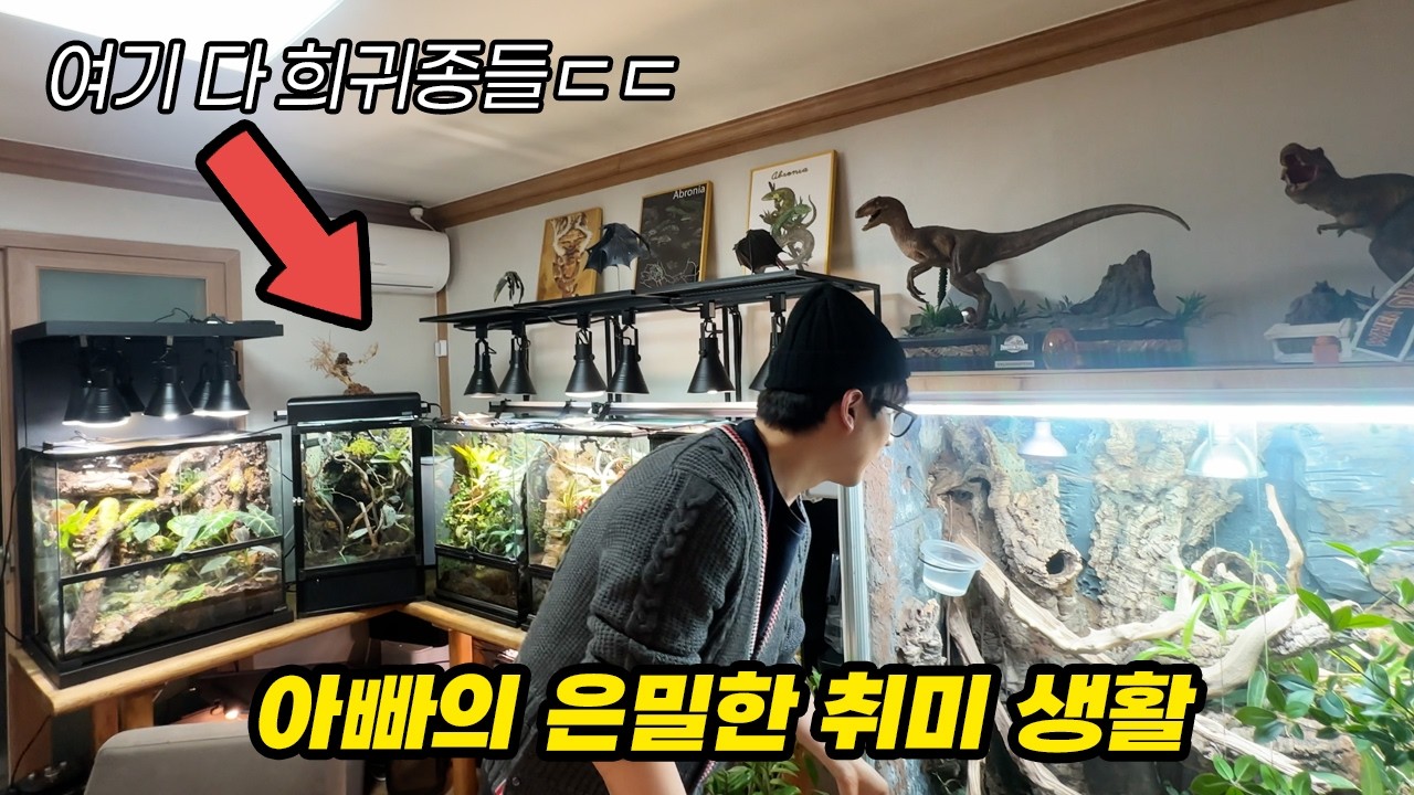 퇴근하고 새벽마다 이거 관리하러 온다고... 이 귀한 걸 다 키우네요ㄷㄷ