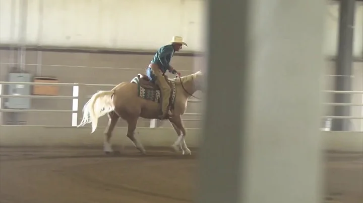 190906 Novice Darrell O Bromley on Smart T Bird