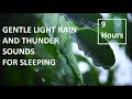 9 HOURS - GENTLE LIGHT RAIN AND THUNDER SOUNDS FOR SLEEPING