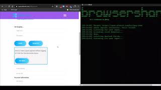 Formjacking Video