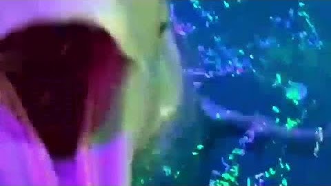 Dolphin2048 - Crystal Dolphin (feat. givelife) (Official Music Video)