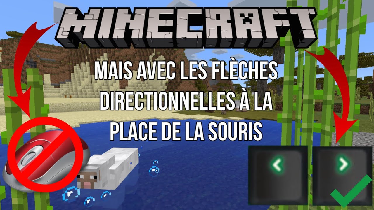 Comment Ne Plus Faire Glisser Sa Souris Dans Minecraft