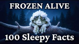 Download Lagu This Frog Survives Winter by Freezing Solid | Fascinating Documentary for Sleep