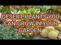 Best Desert Plants for your private garden now Mp3 Song