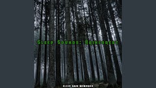 Fall Asleep Rain