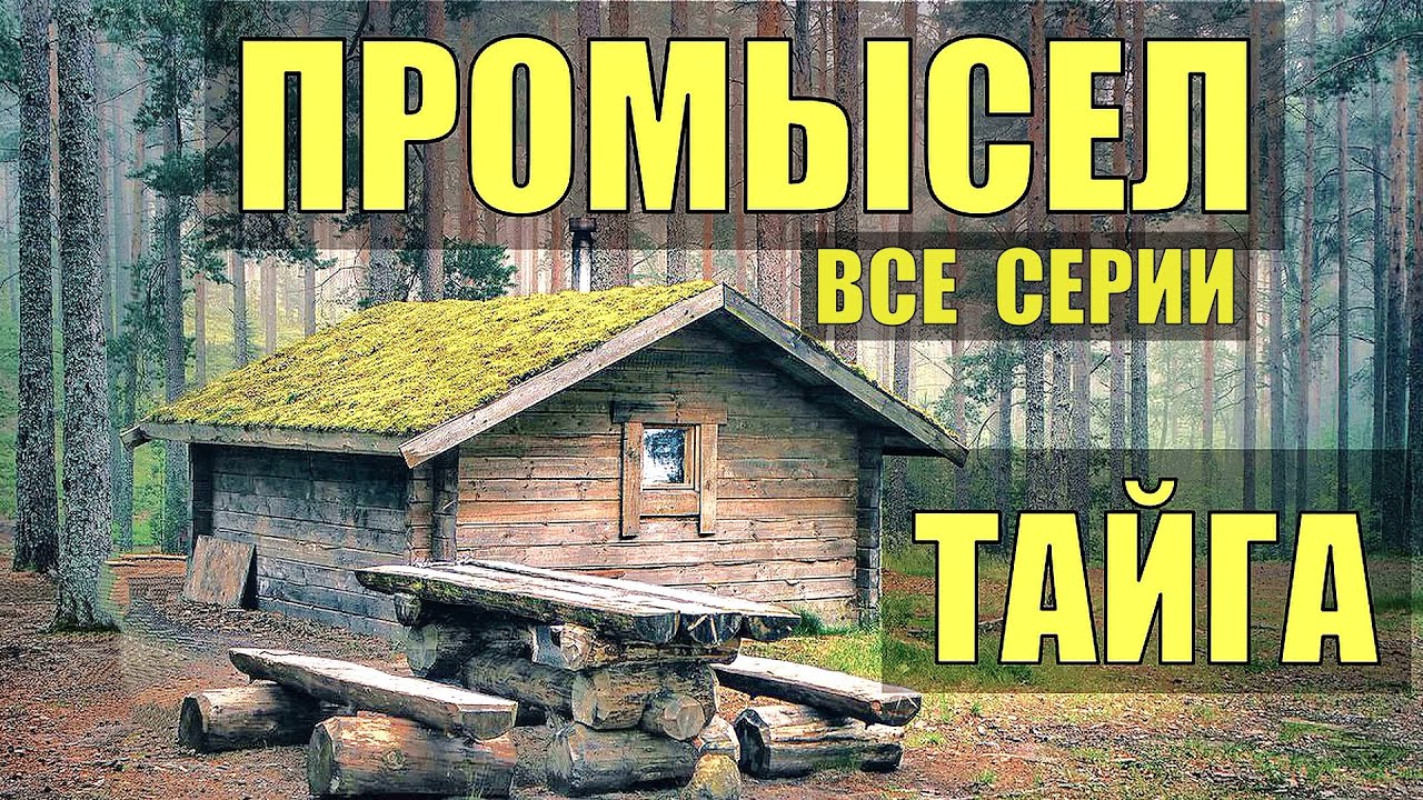 СЕРИАЛ ОТШЕЛЬНИК ПРОМЫСЕЛ В ГЛУХОЙ ТАЙГЕ РАССКАЗЫ ОХОТНИКА ИСТОРИИ из ...