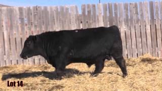 Lot 14 - MAR Capitalist 412