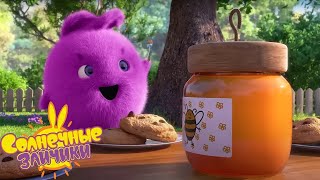 Вкусный мед  Солнечные зайчики | Сборник мультфильмов для детей.